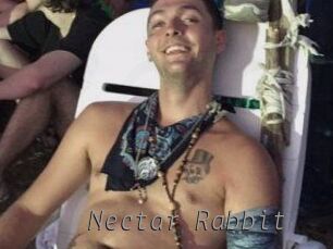 Nectar_Rabbit