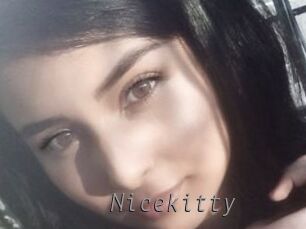 Nicekitty