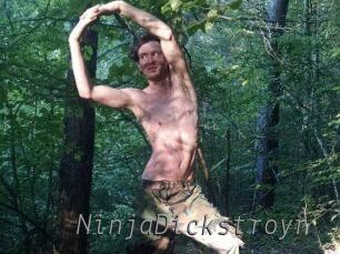 NinjaDickstroyr