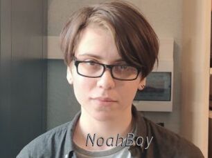 NoahBoy