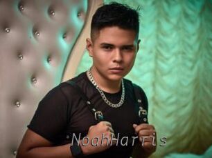 NoahHarris