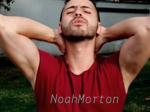 NoahMorton