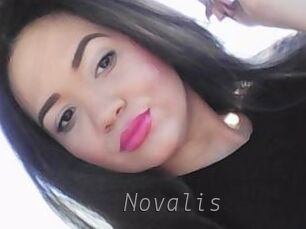 Novalis Livestrip Cams