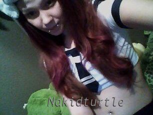 Nakidturtle
