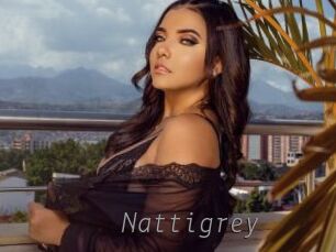 nattigrey Livestrip Cams