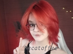 necatoffee Livestrip Cams