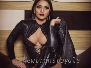 newtransroyale Livestrip Cams