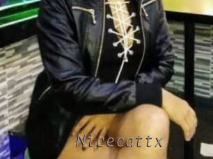 Nicecattx