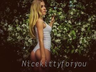 Nicekittyforyou