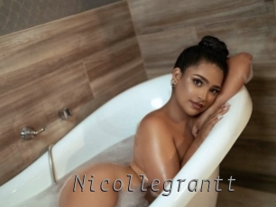 nicollegrantt Livestrip Cams