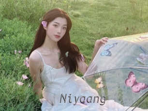 niyaang Livestrip Cams