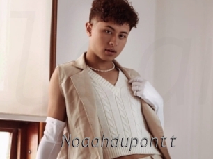 noaahdupontt Livestrip Cams