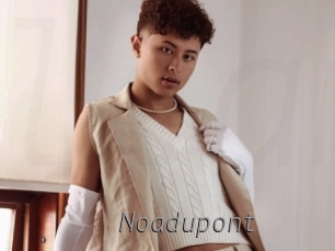 noadupont Livestrip Cams