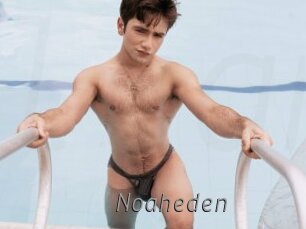 Noaheden