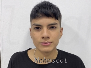 nohascot Livestrip Cams
