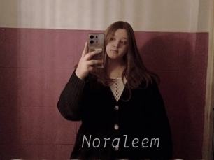 noraleem Livestrip Cams