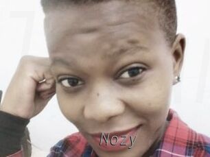 Nozy