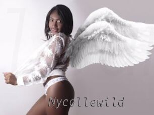 Nycollewild