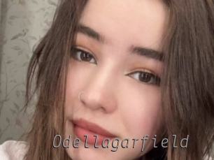 Odellagarfield