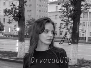 Orvacaudle