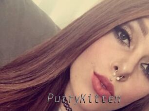 PurryKitten