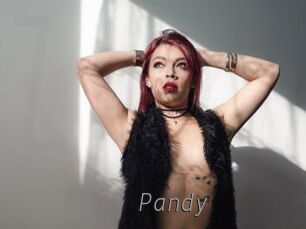 Pandy