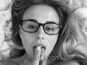 Paulinamice