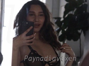 Paynadiavixen