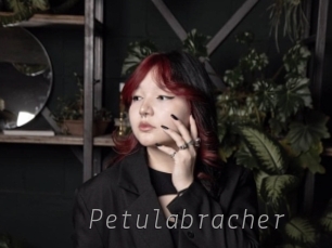 Petulabracher