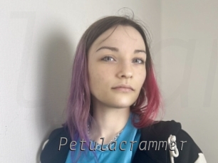 Petulacrammer