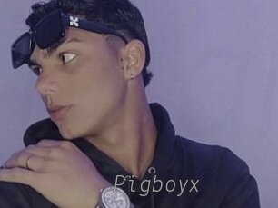 Pigboyx