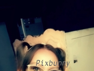 pixbunny Livestrip Cams