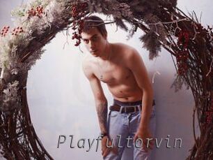 Playfultorvin