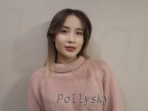 Pollysky