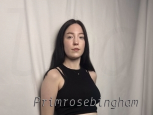 primrosebingham Livestrip Cams