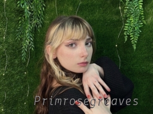 primrosegreaves Livestrip Cams