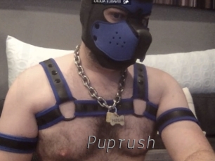 Puprush