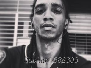 Raphael882303