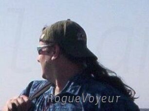 RogueVoyeur