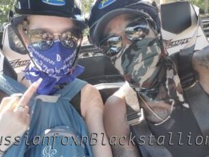 RussianfoxnBlackstallion