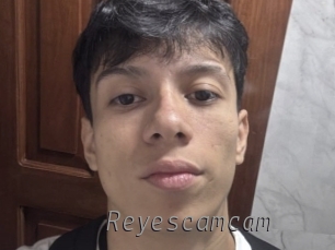 reyescamcam Livestrip Cams