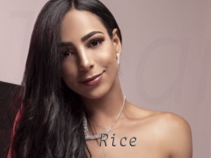 Rice