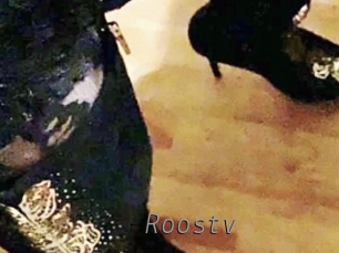 roostv Livestrip Cams