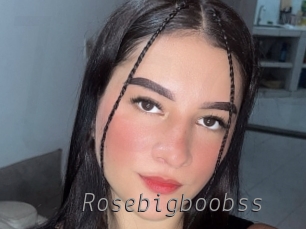 Rosebigboobss