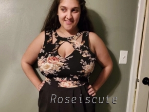 roseiscute Livestrip Cams