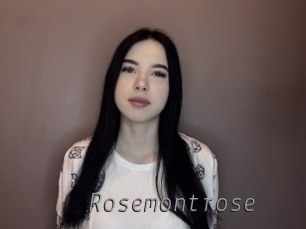 rosemontrose Livestrip Cams