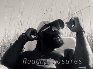 Roughpleasures