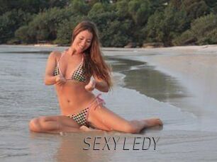 SEXYLEDY