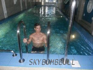 SKYBOMBBULL