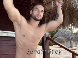 SandroGrey Livestrip Cams